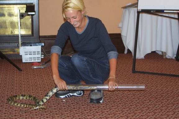 Our husbandry course at the Reptile Zone