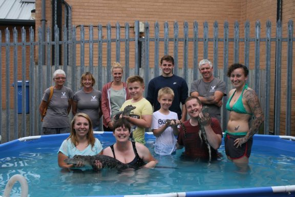 swimming with crocs