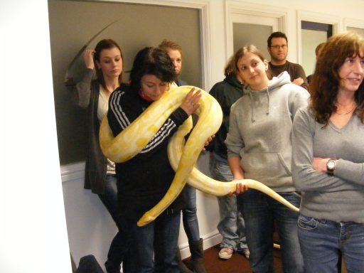 Our husbandry course at the Reptile Zone