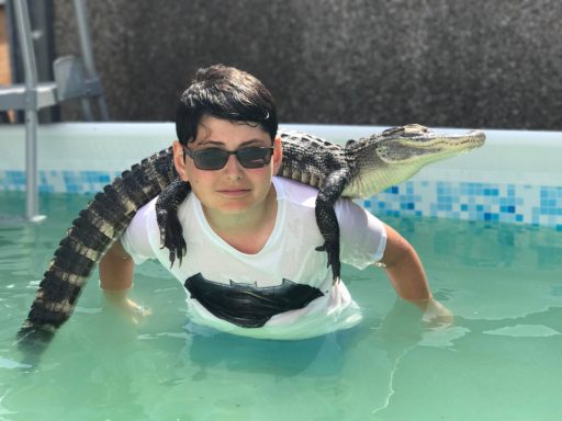 swimming with crocs